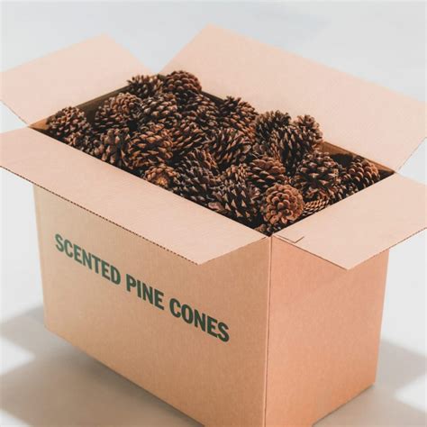 pinecone & pony 123movie|where to buy pine cones.
